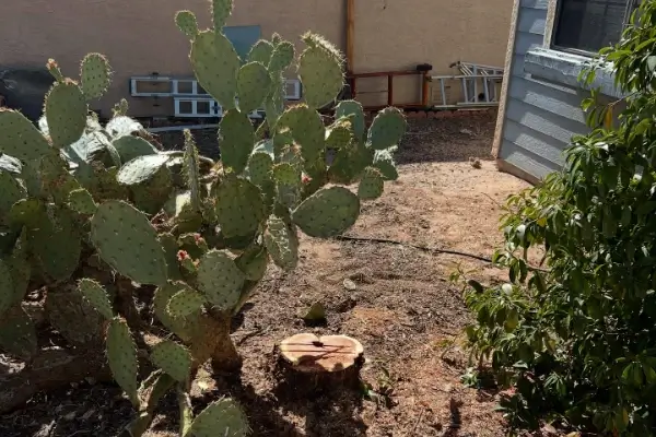 A - Z Landscaping's Other Services