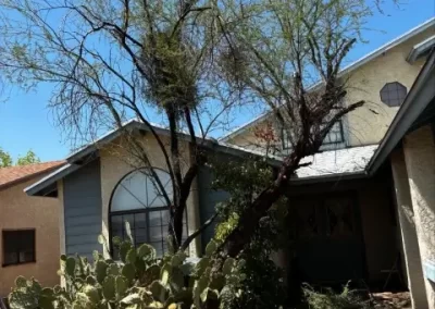 Quality Landscape Contractor