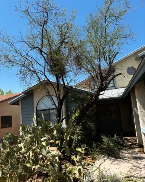 Quality Landscape Contractor