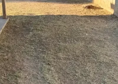 Quality Landscaping Services